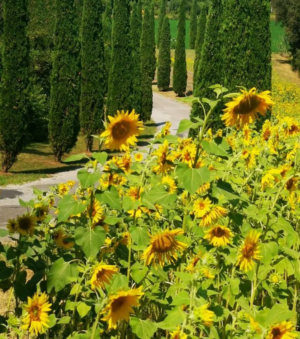 Hotel Agriturismo Cascina Cipressa San Romano
