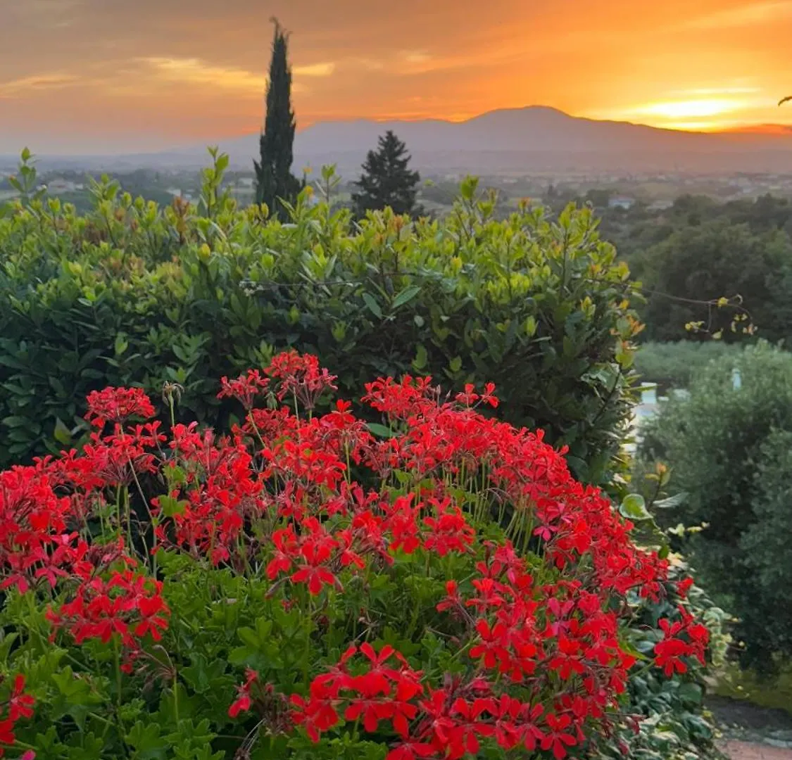 Agriturismo Cascina Cipressa San Romano  Hotel San Romano (Pisa)
