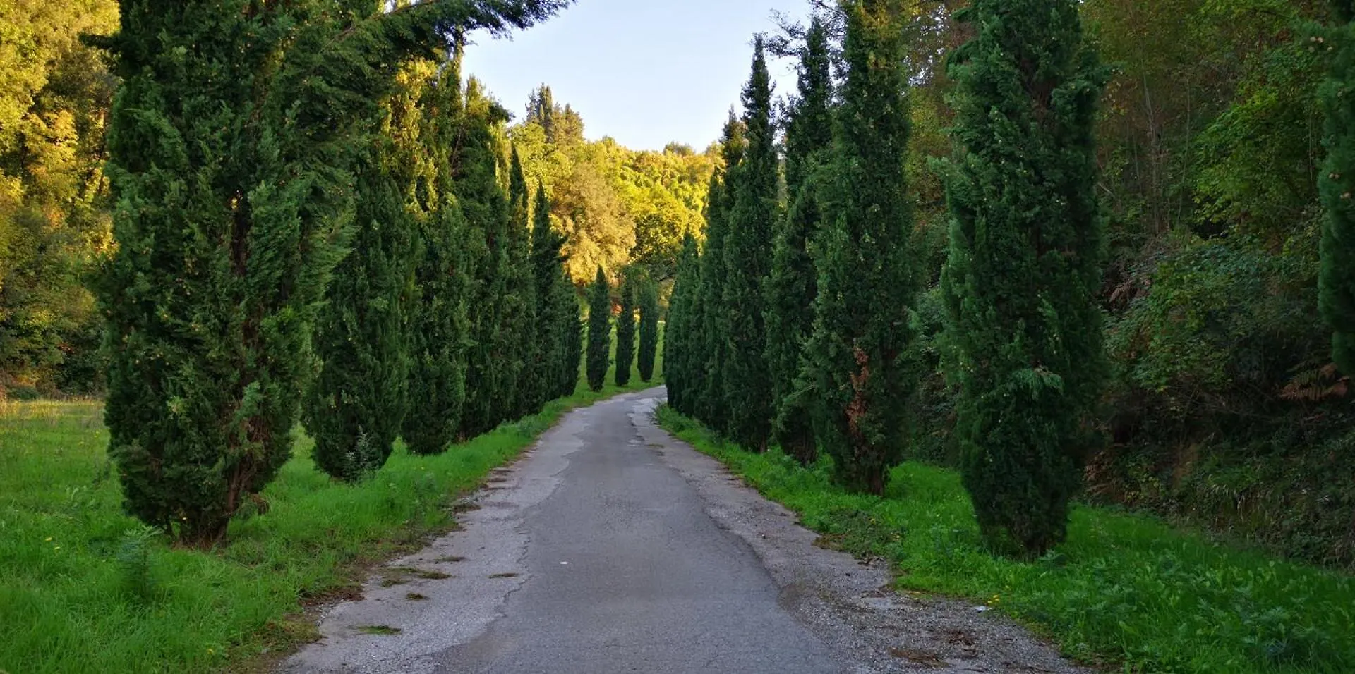 Agriturismo Cascina Cipressa San Romano