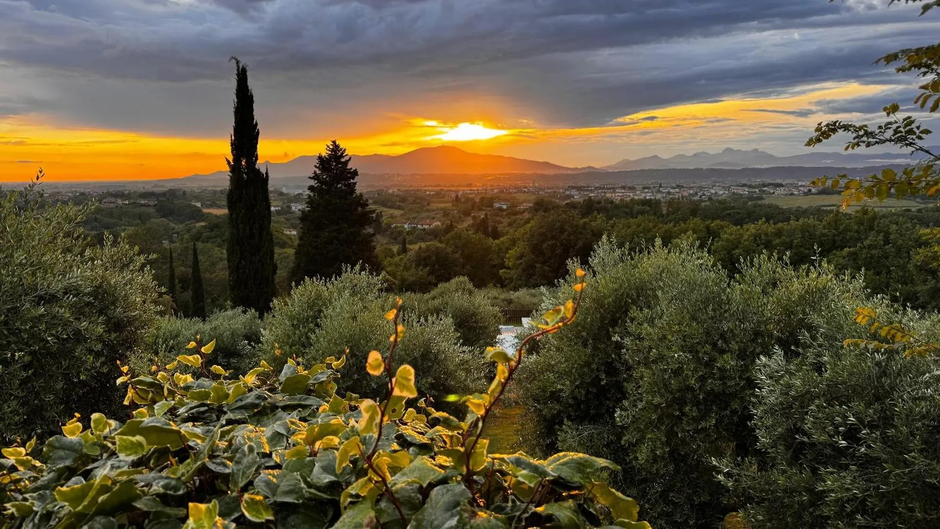 Agriturismo Cascina Cipressa San Romano  Hotel San Romano (Pisa)